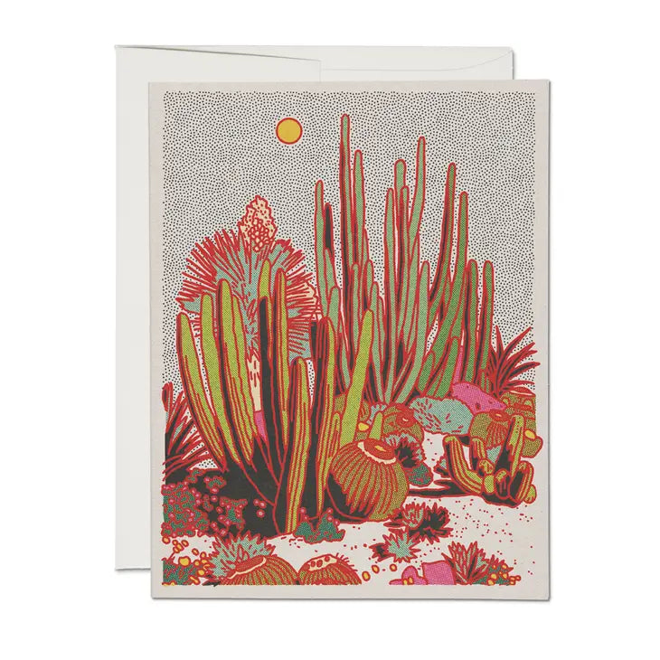 Everyday greeting card illustrated by Caroline Clark, illustrating cactus.